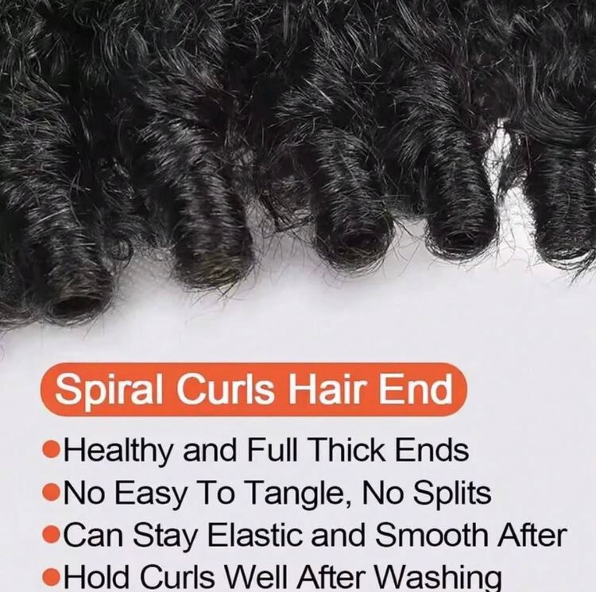 Diana’s 13x6 Glueless Burmese Curly Wig